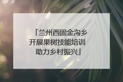 兰州西固金沟乡开展果树技能培训 助力乡村振兴