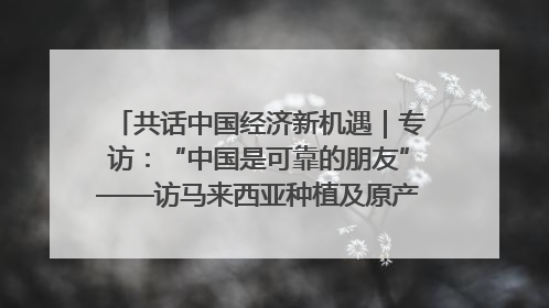 共话中国经济新机遇｜专访：“中国是可靠的朋友”——访马来西亚种植及原产业部副部长陈泓缣