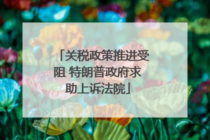 关税政策推进受阻 特朗普政府求助上诉法院