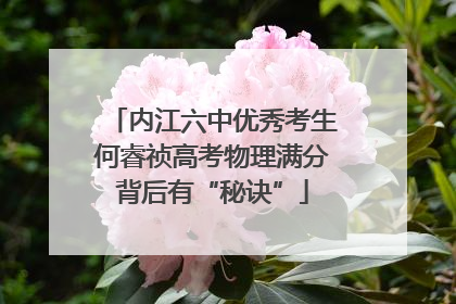 内江六中优秀考生何睿祯高考物理满分背后有“秘诀”