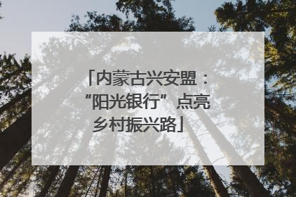 内蒙古兴安盟：“阳光银行”点亮乡村振兴路