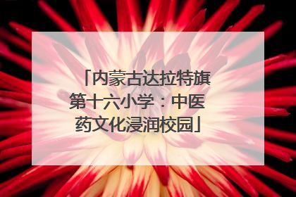 内蒙古达拉特旗第十六小学：中医药文化浸润校园