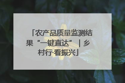 农产品质量监测结果“一键直达”｜乡村行·看振兴