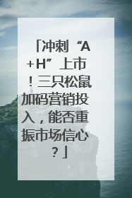 冲刺“A+H”上市！三只松鼠加码营销投入，能否重振市场信心？