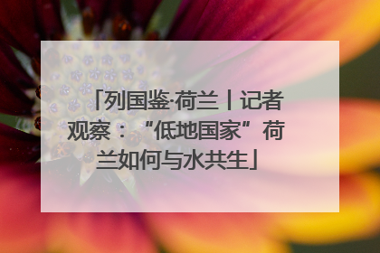 列国鉴·荷兰丨记者观察：“低地国家”荷兰如何与水共生