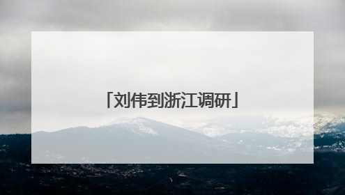 刘伟到浙江调研