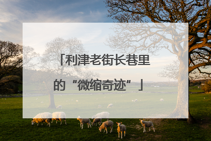 利津老街长巷里的“微缩奇迹”
