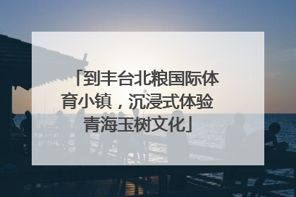 到丰台北粮国际体育小镇，沉浸式体验青海玉树文化