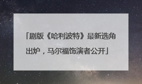 剧版《哈利波特》最新选角出炉，马尔福饰演者公开