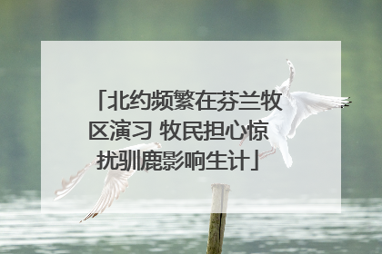 北约频繁在芬兰牧区演习 牧民担心惊扰驯鹿影响生计
