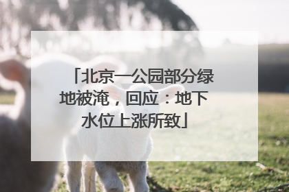 北京一公园部分绿地被淹，回应：地下水位上涨所致