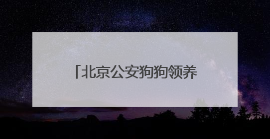 北京公安狗狗领养文案“火出圈”！心动之后，如何行动？我们打听了
