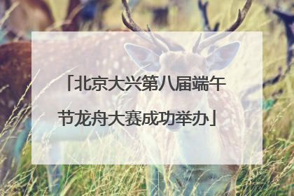 北京大兴第八届端午节龙舟大赛成功举办