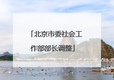 北京市委社会工作部部长调整