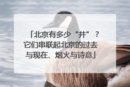 北京有多少“井”？它们串联起北京的过去与现在、烟火与诗意
