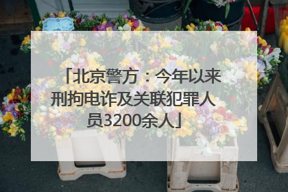 北京警方：今年以来刑拘电诈及关联犯罪人员3200余人