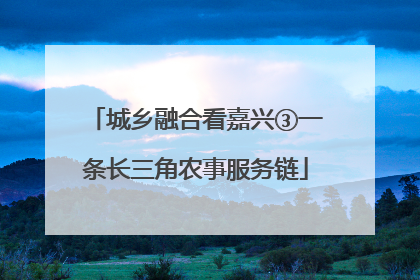 城乡融合看嘉兴③一条长三角农事服务链