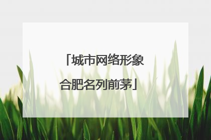 城市网络形象合肥名列前茅