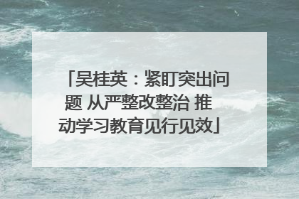 吴桂英：紧盯突出问题 从严整改整治 推动学习教育见行见效