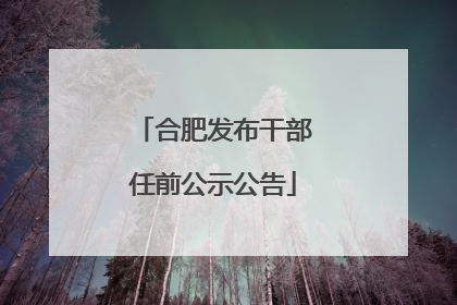 合肥发布干部任前公示公告