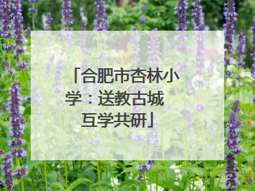 合肥市杏林小学：送教古城 互学共研