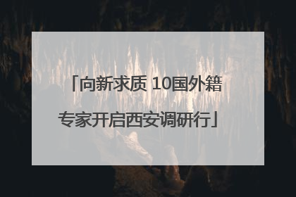向新求质 10国外籍专家开启西安调研行