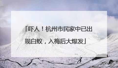 吓人！杭州市民家中已出现白蚁，入梅后大爆发