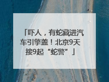 吓人，有蛇藏进汽车引擎盖！北京9天接9起“蛇警”