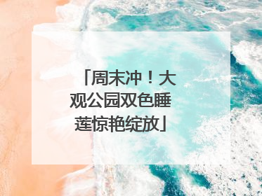 周末冲！大观公园双色睡莲惊艳绽放