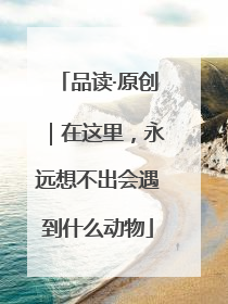 品读·原创｜在这里，永远想不出会遇到什么动物