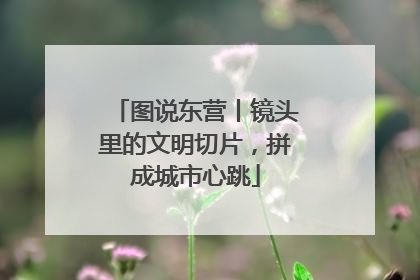 图说东营丨镜头里的文明切片，拼成城市心跳
