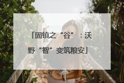 固镇之“谷”：沃野“智”变筑粮安
