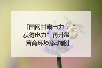 国网甘肃电力：“获得电力”再升级 营商环境添动能