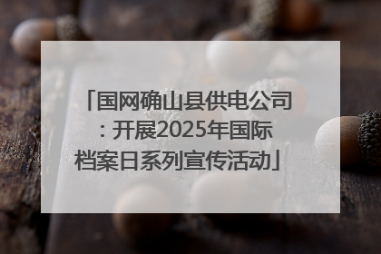国网确山县供电公司：开展2025年国际档案日系列宣传活动