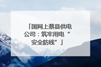 国网上蔡县供电公司：筑牢用电“安全防线”