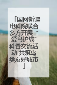 国网新疆电科院联合多方开展“爱鸟护线”科普交流活动 共筑鸟类友好城市