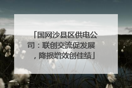国网沙县区供电公司：联创交流促发展，降损增效创佳绩