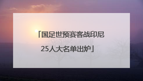 国足世预赛客战印尼25人大名单出炉