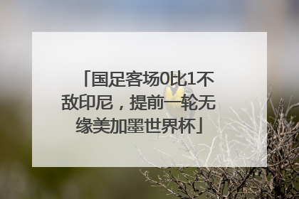 国足客场0比1不敌印尼，提前一轮无缘美加墨世界杯