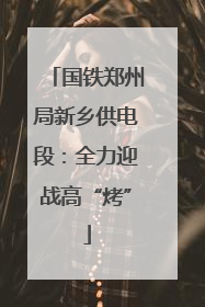 国铁郑州局新乡供电段：全力迎战高“烤”