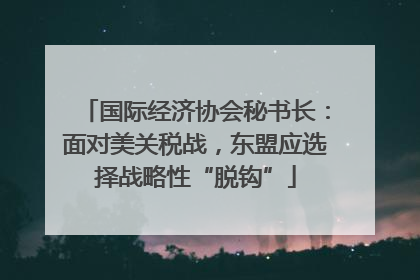 国际经济协会秘书长：面对美关税战，东盟应选择战略性“脱钩”