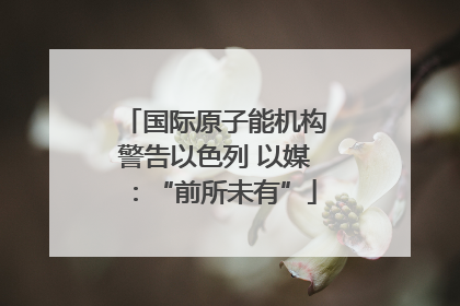 国际原子能机构警告以色列 以媒：“前所未有”