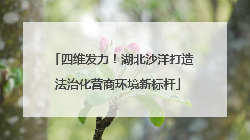 四维发力！湖北沙洋打造法治化营商环境新标杆