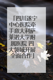 四川遂宁中心医院牵手意大利萨莱诺大学附属医院 四大领域开展全面合作