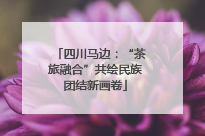 四川马边：“茶旅融合”共绘民族团结新画卷