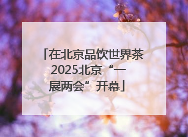 在北京品饮世界茶 2025北京“一展两会”开幕