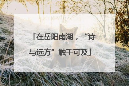 在岳阳南湖，“诗与远方”触手可及