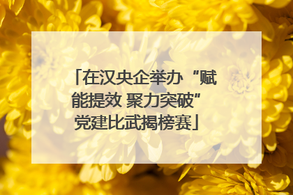 在汉央企举办“赋能提效 聚力突破”党建比武揭榜赛