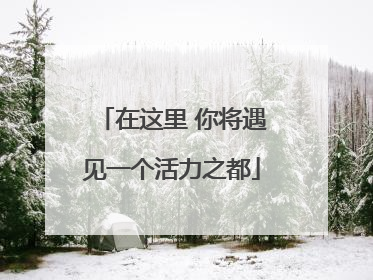 在这里 你将遇见一个活力之都