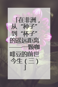 在非洲，从“种子”到“杯子”的遥远距离——一颗咖啡豆的前世今生（三）